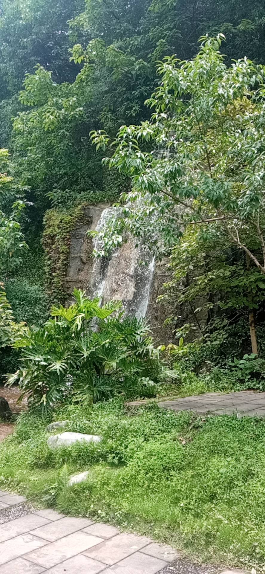 找搭子