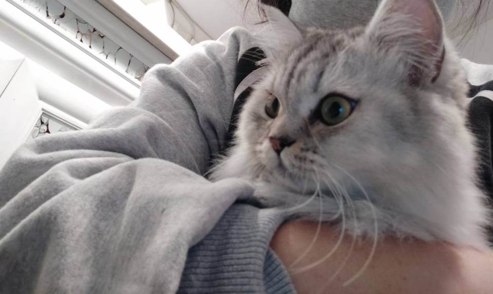 找搭子