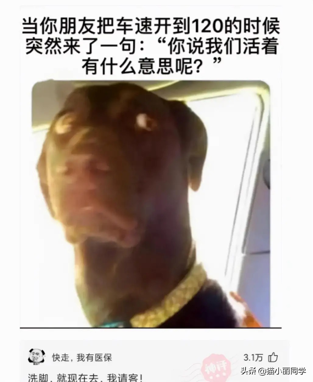 找搭子