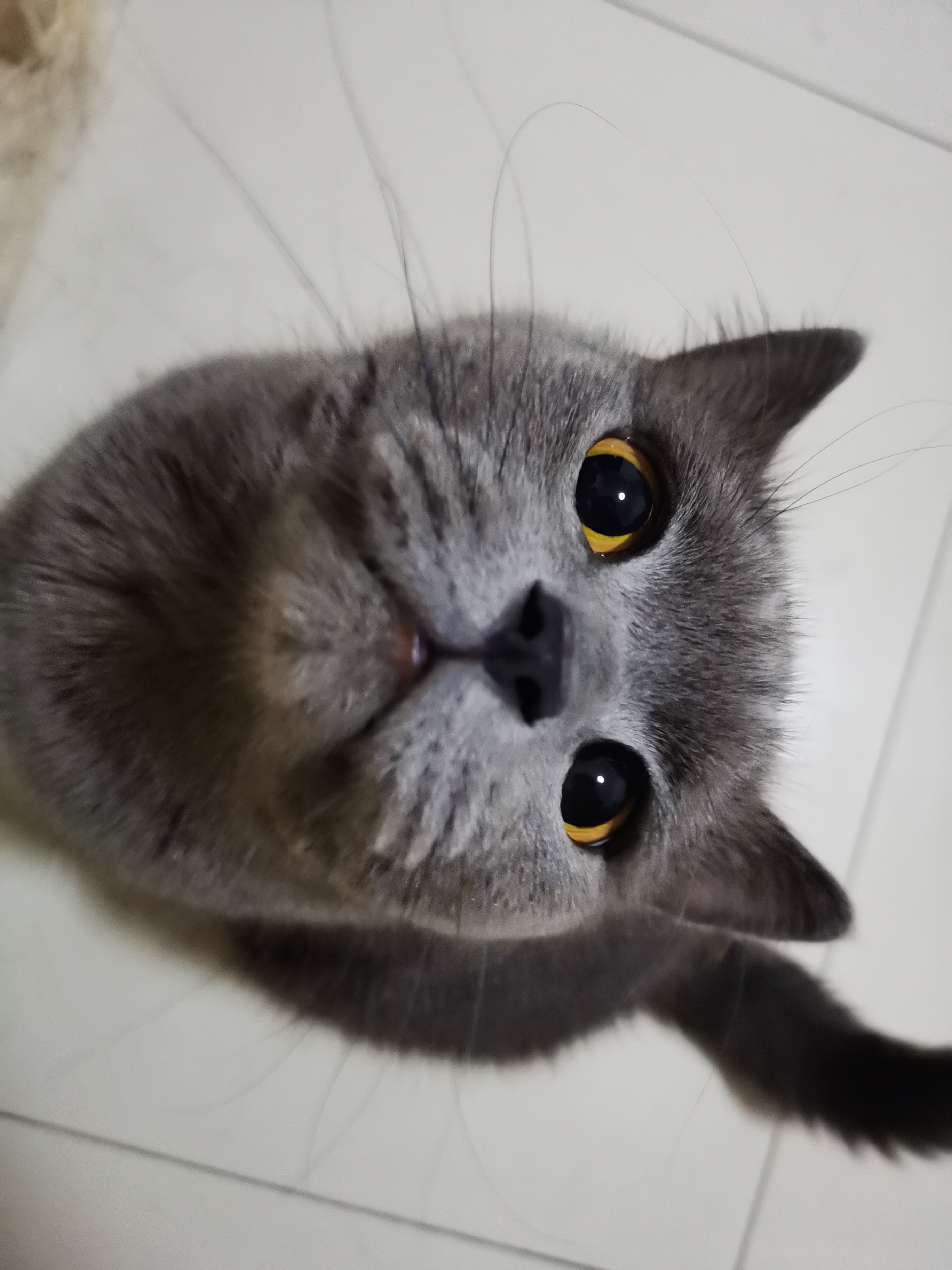 找搭子