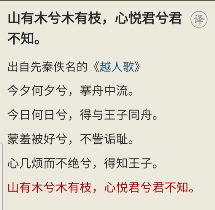 找搭子