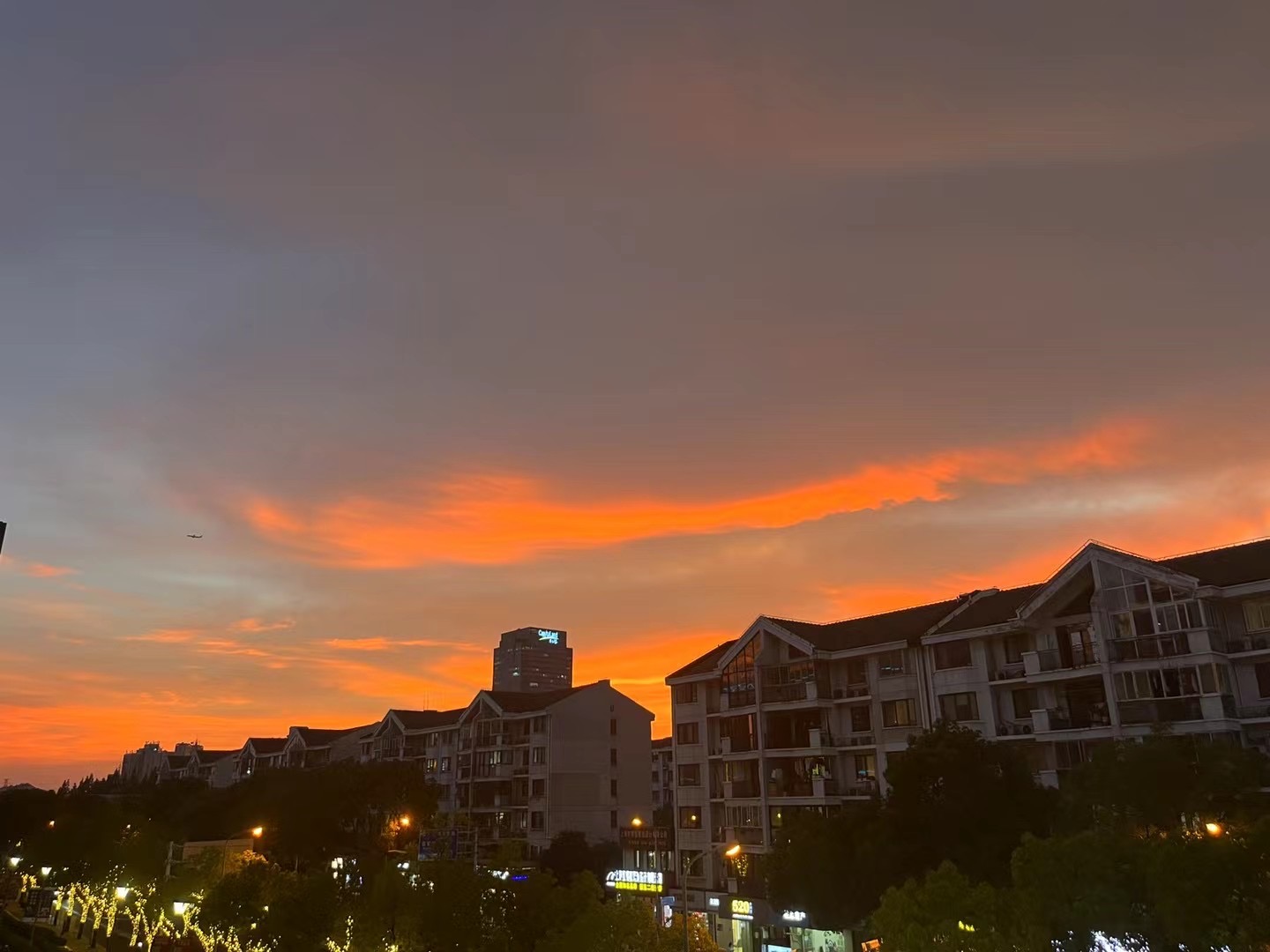 找搭子