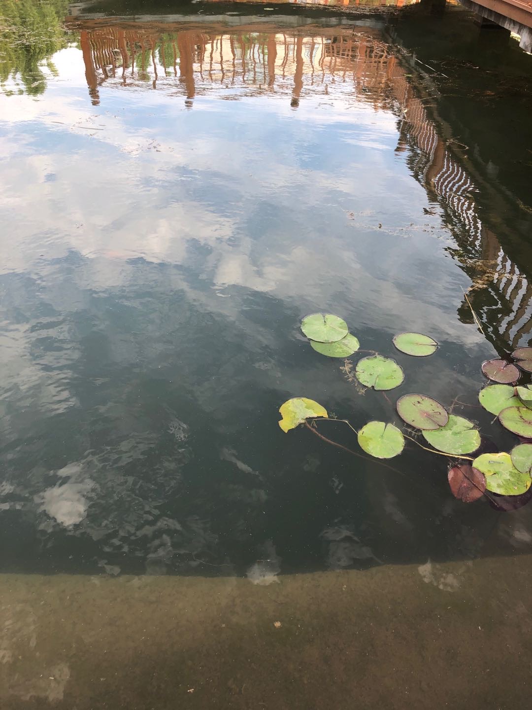 找搭子