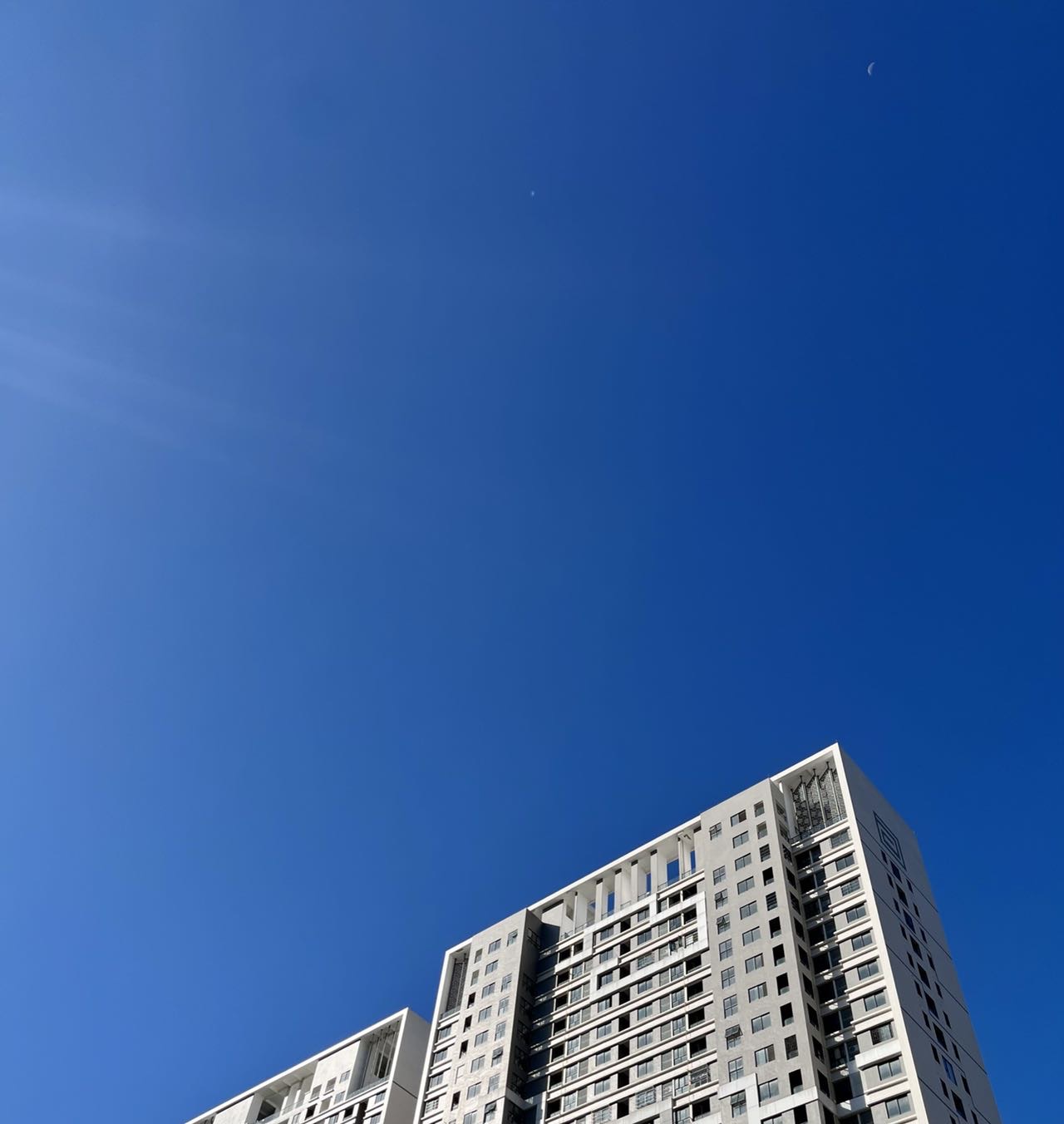 找搭子