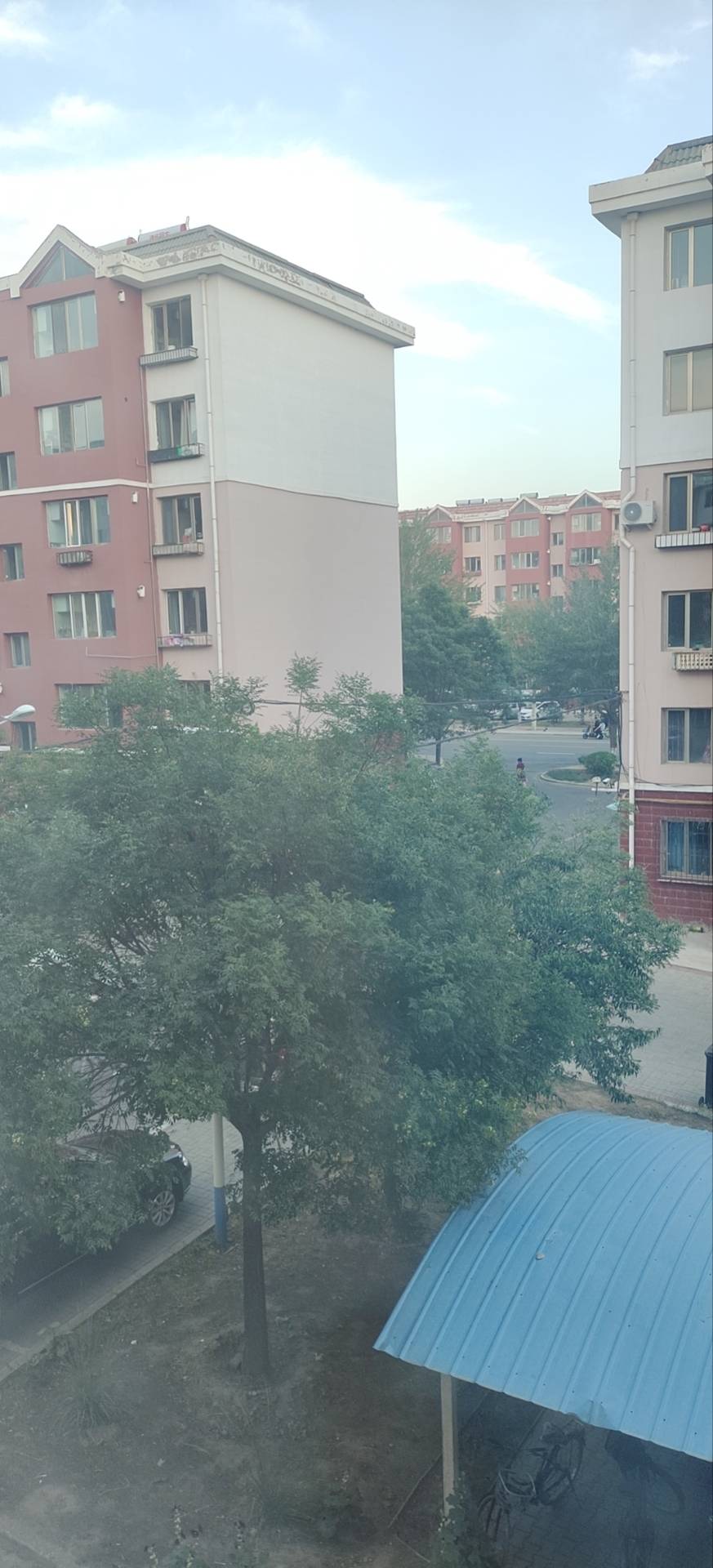 找搭子
