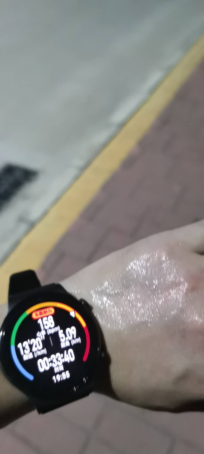 找搭子