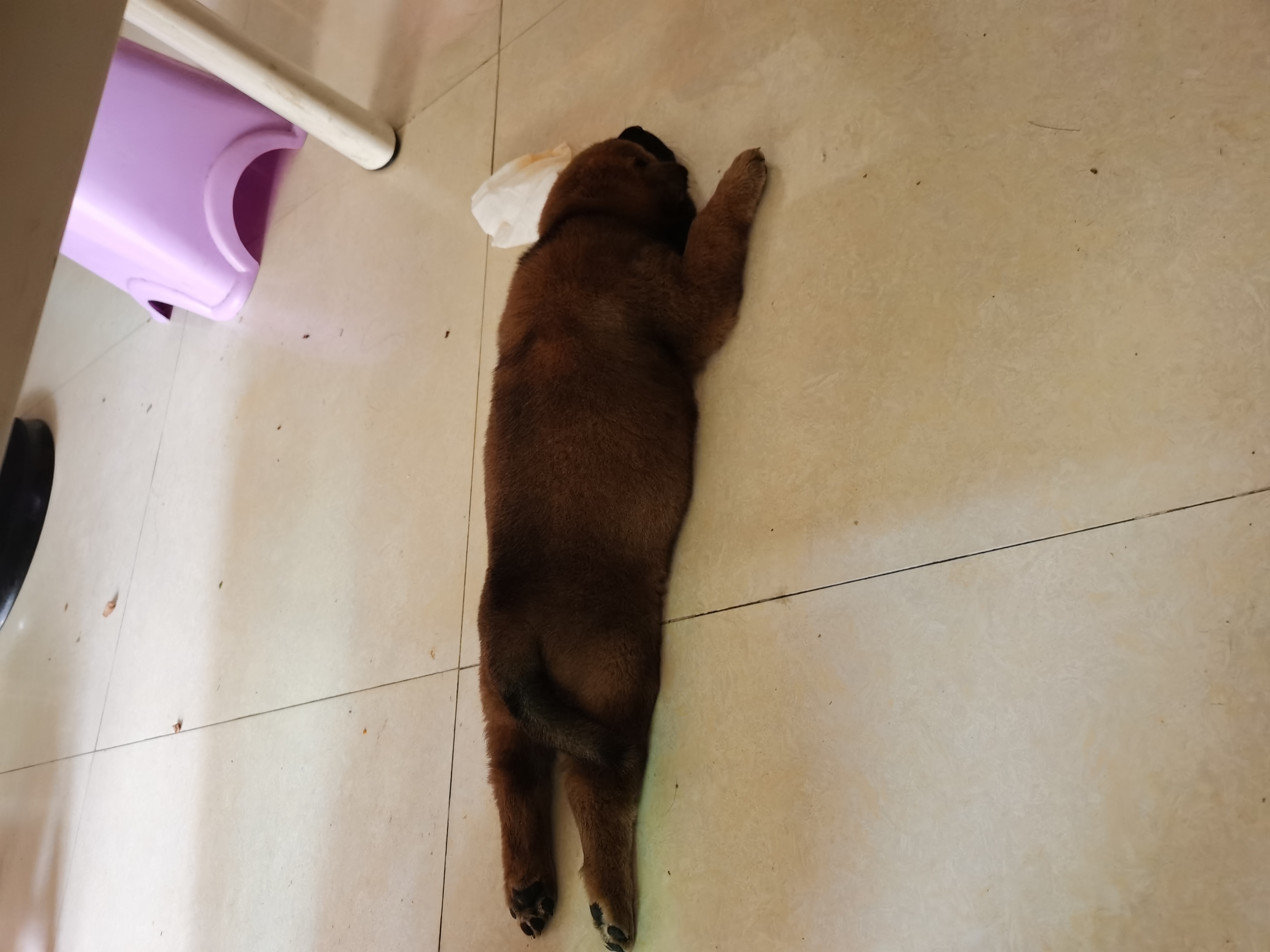 找搭子