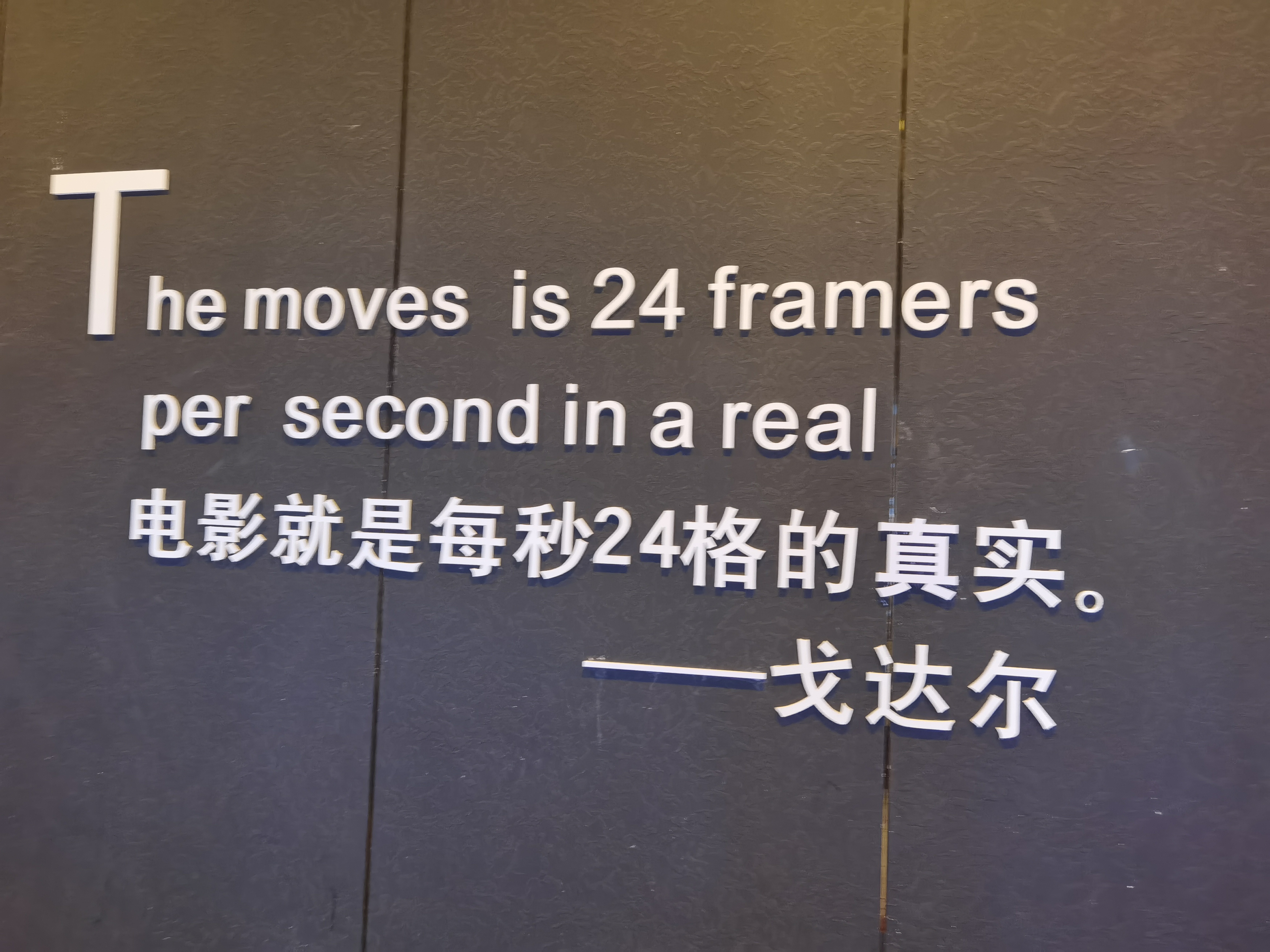 找搭子