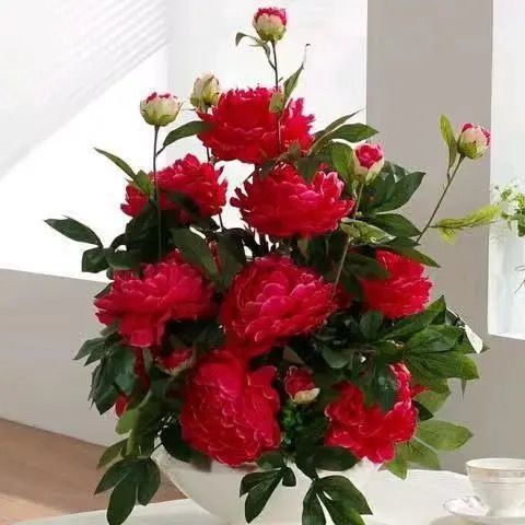 找搭子