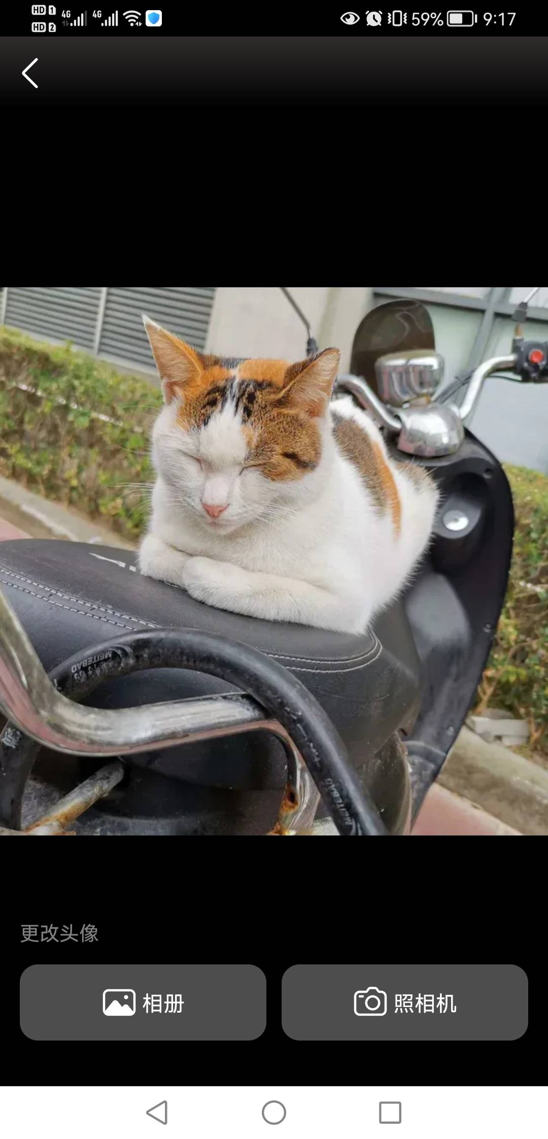找搭子