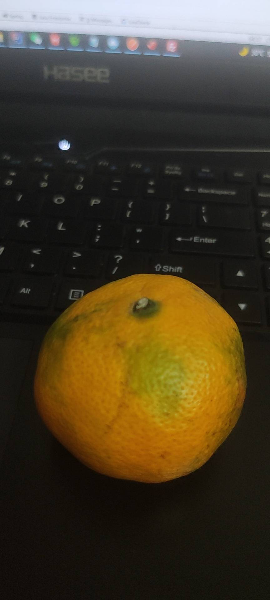 找搭子
