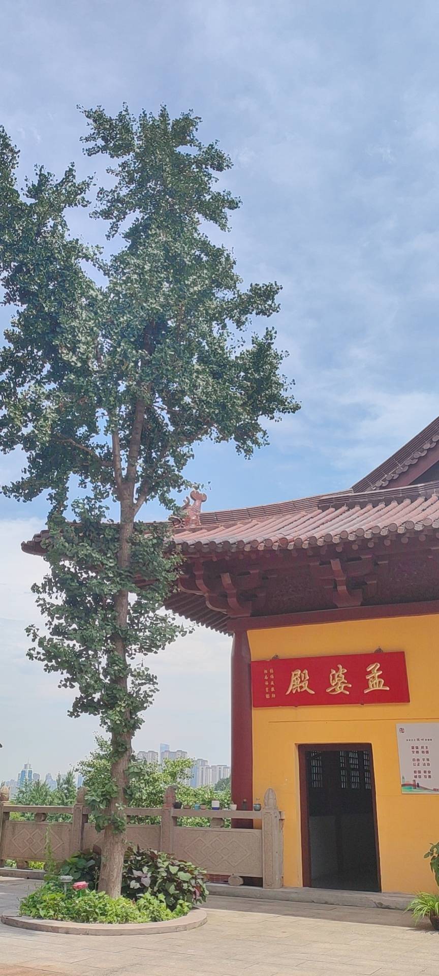找搭子
