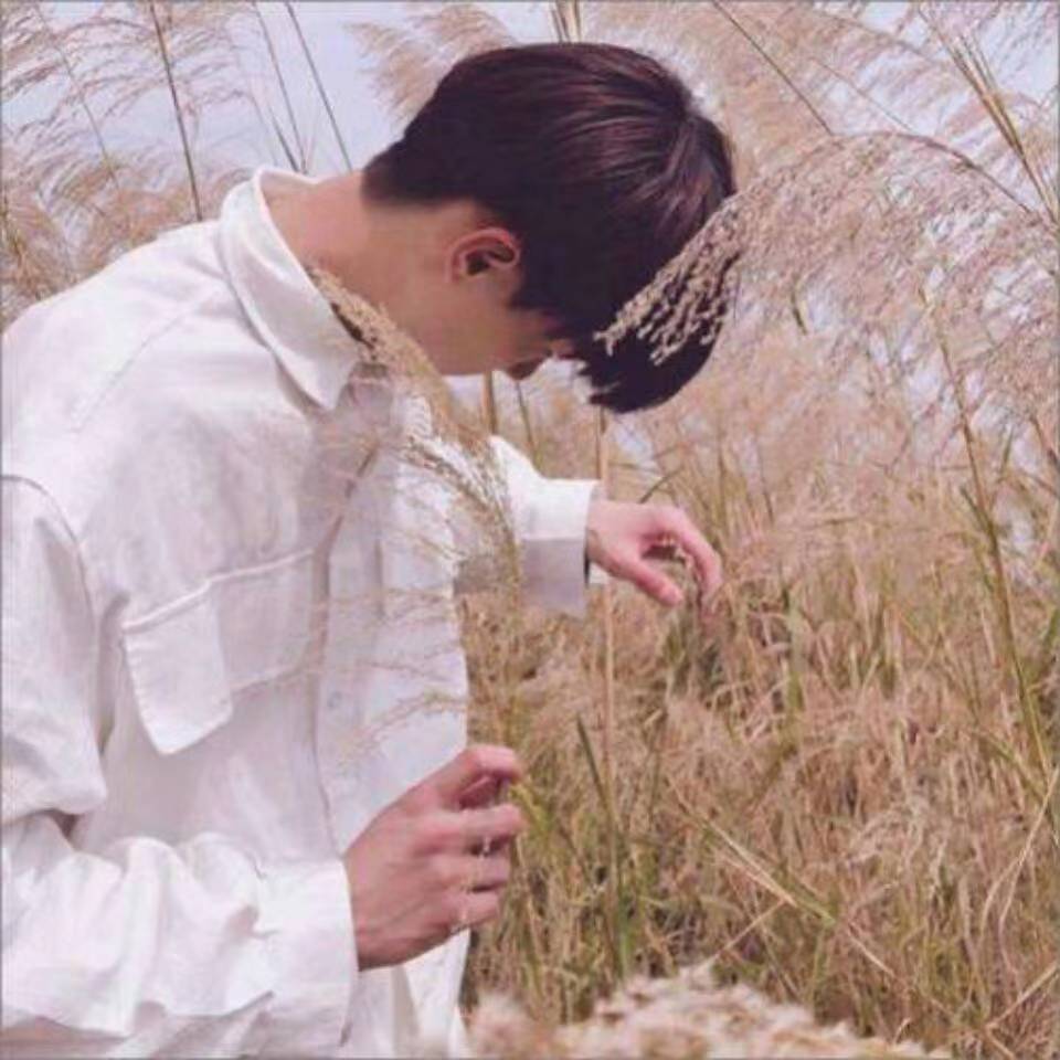 找搭子