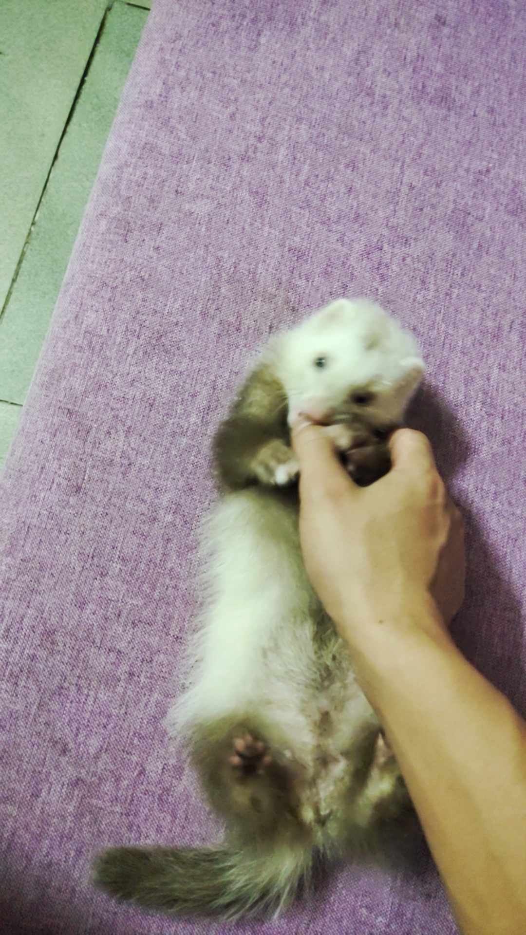 找搭子