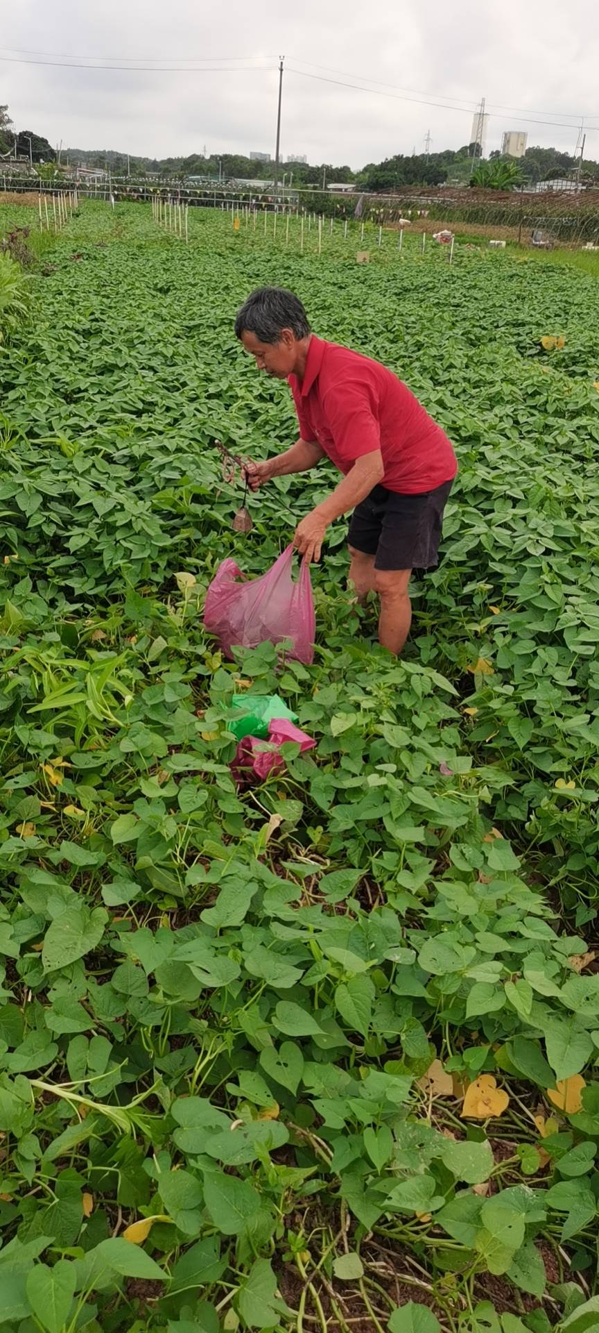 找搭子