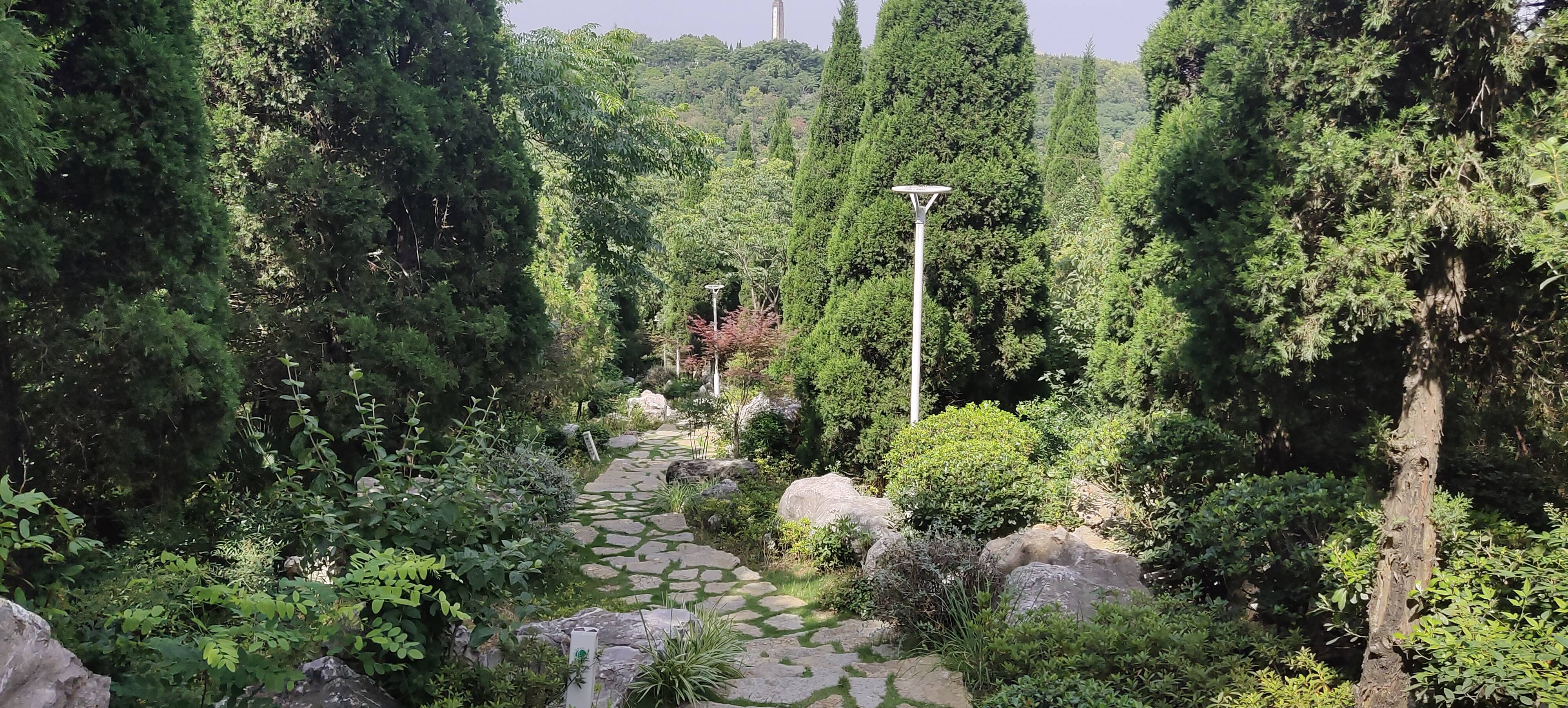 找搭子