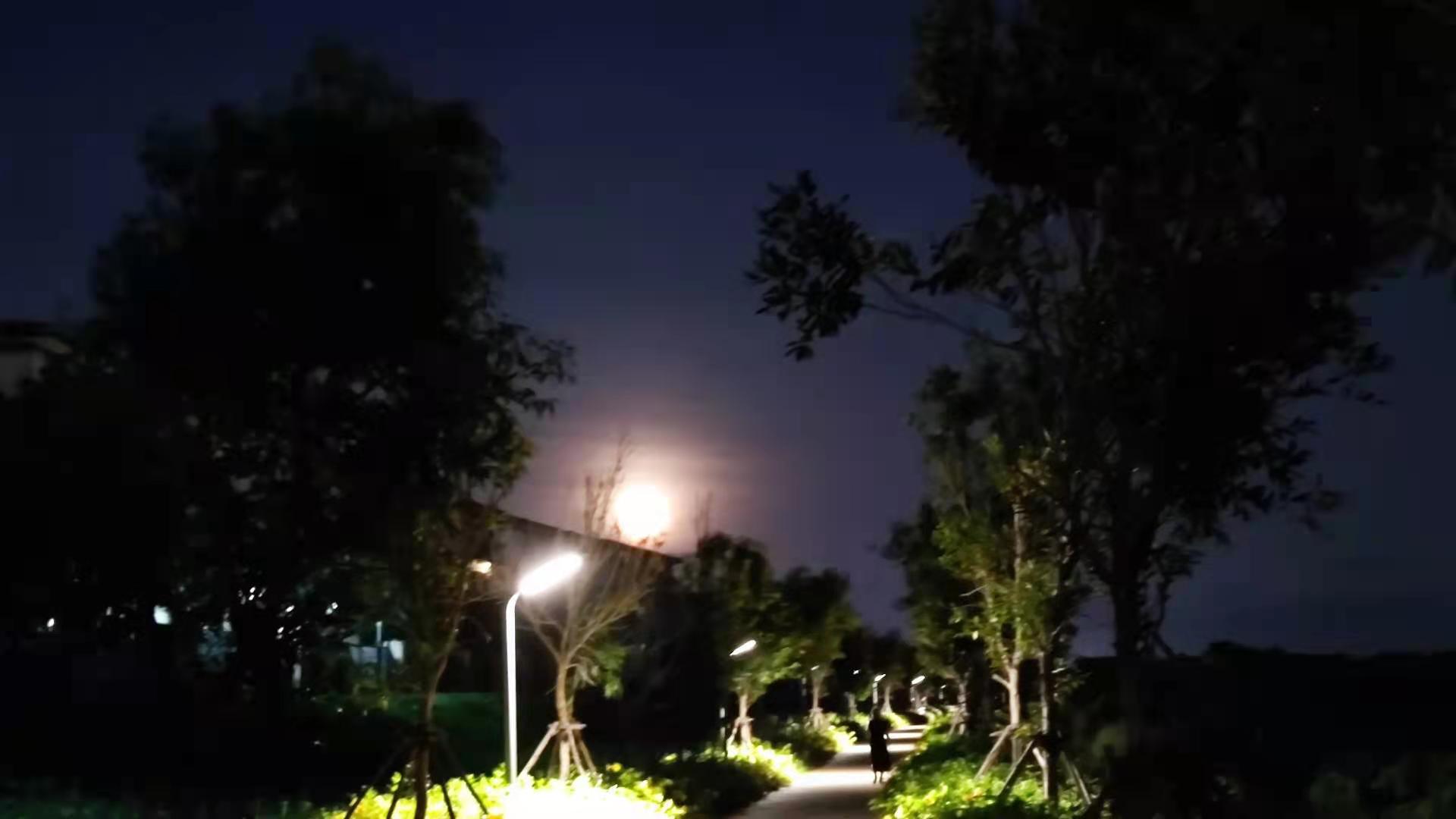 找搭子
