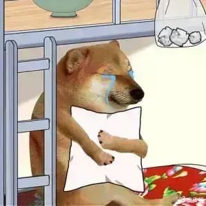 找搭子