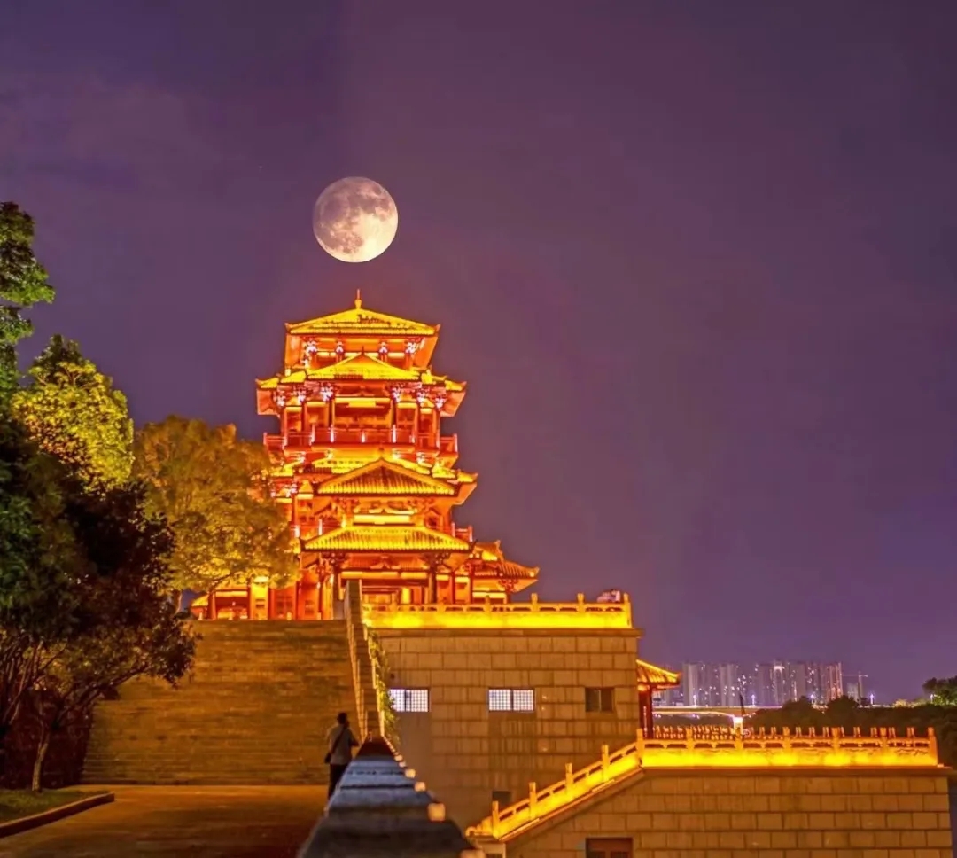 找搭子