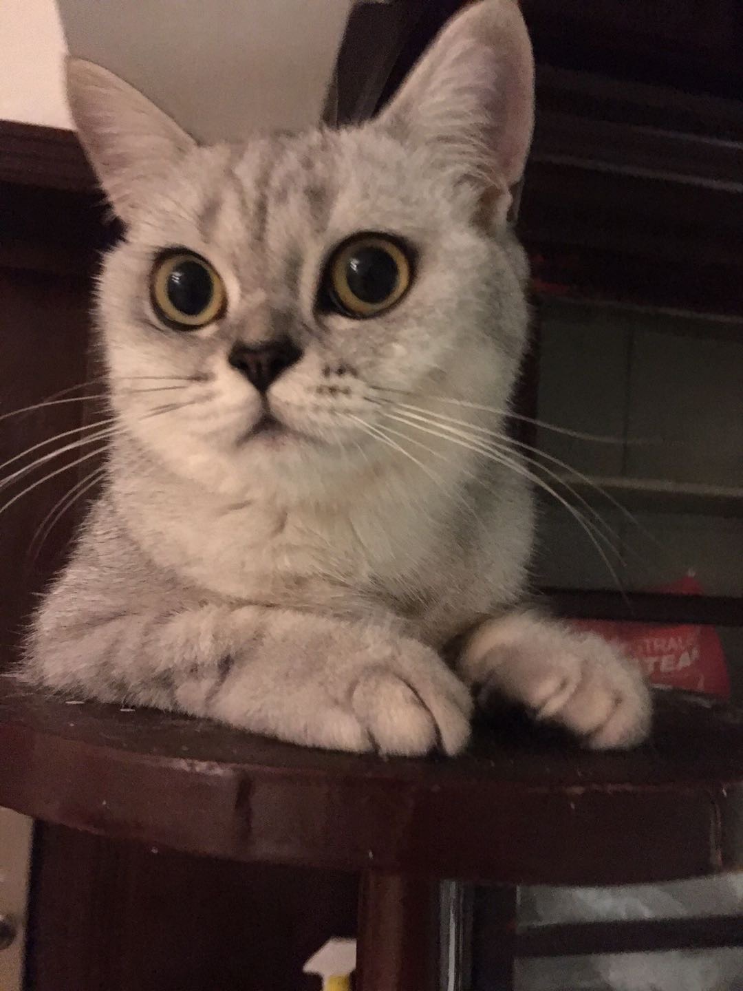 找搭子