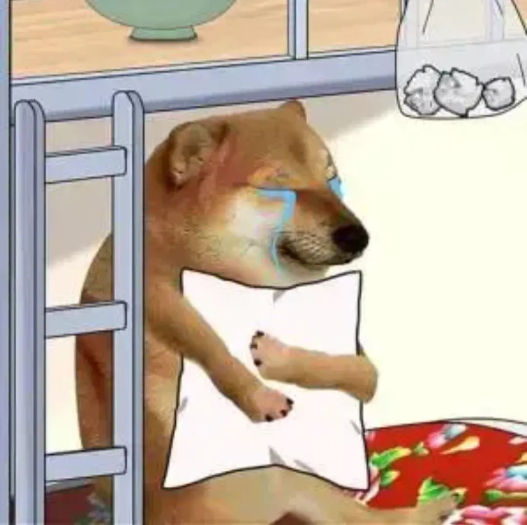 找搭子
