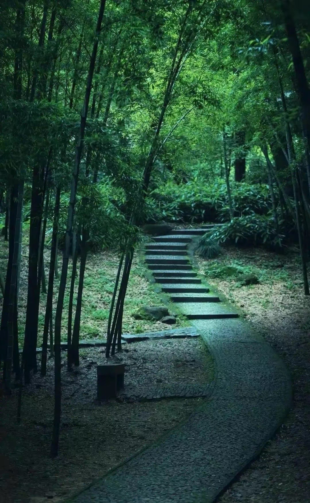 找搭子