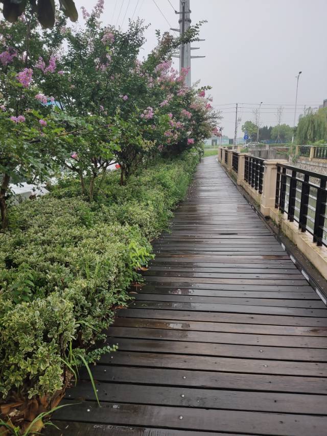 找搭子