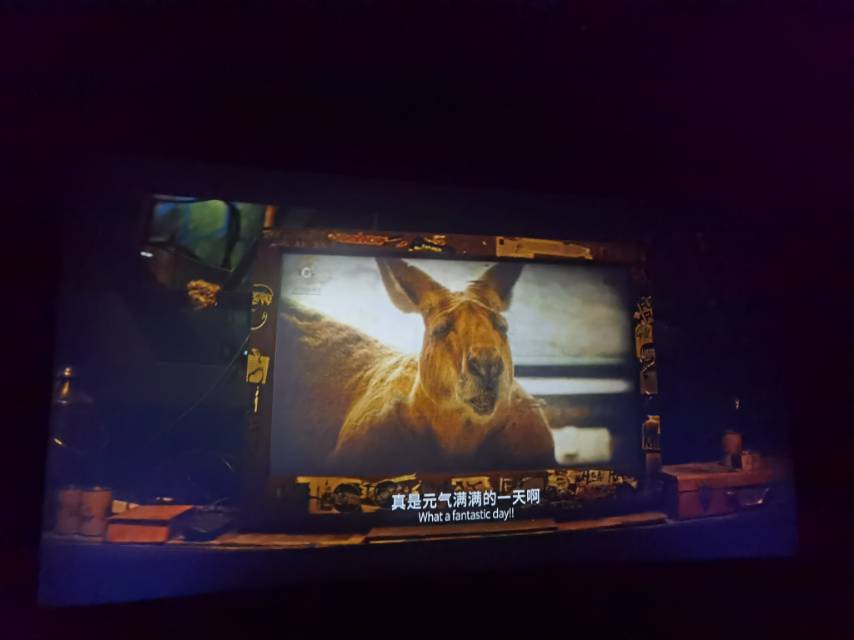 相亲找对象