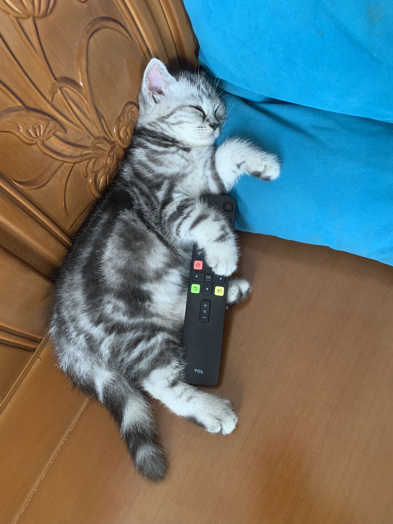 找搭子