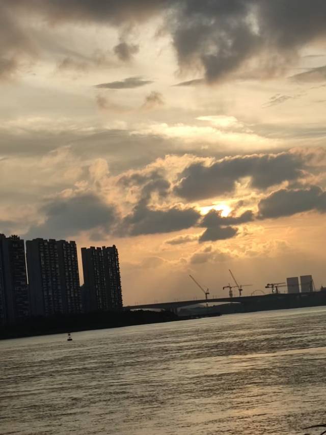 找搭子