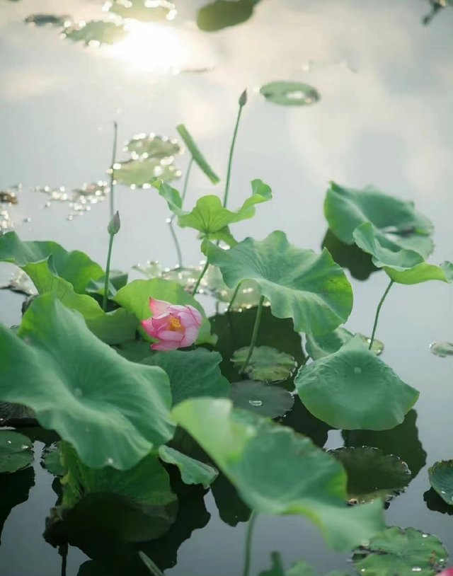 找搭子