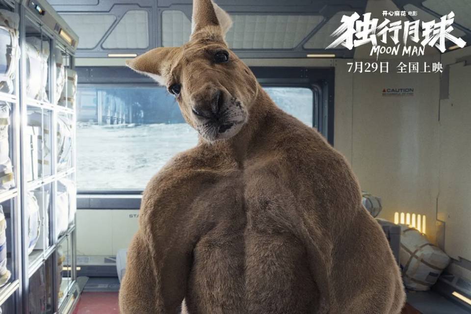 找搭子