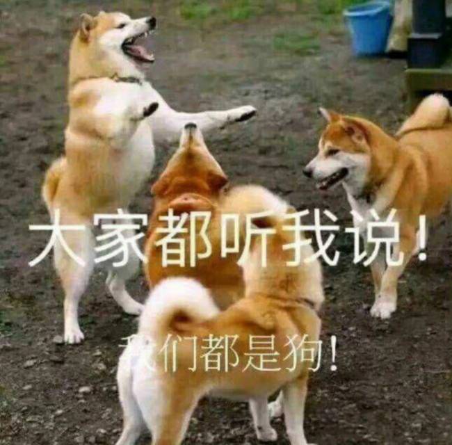 找搭子