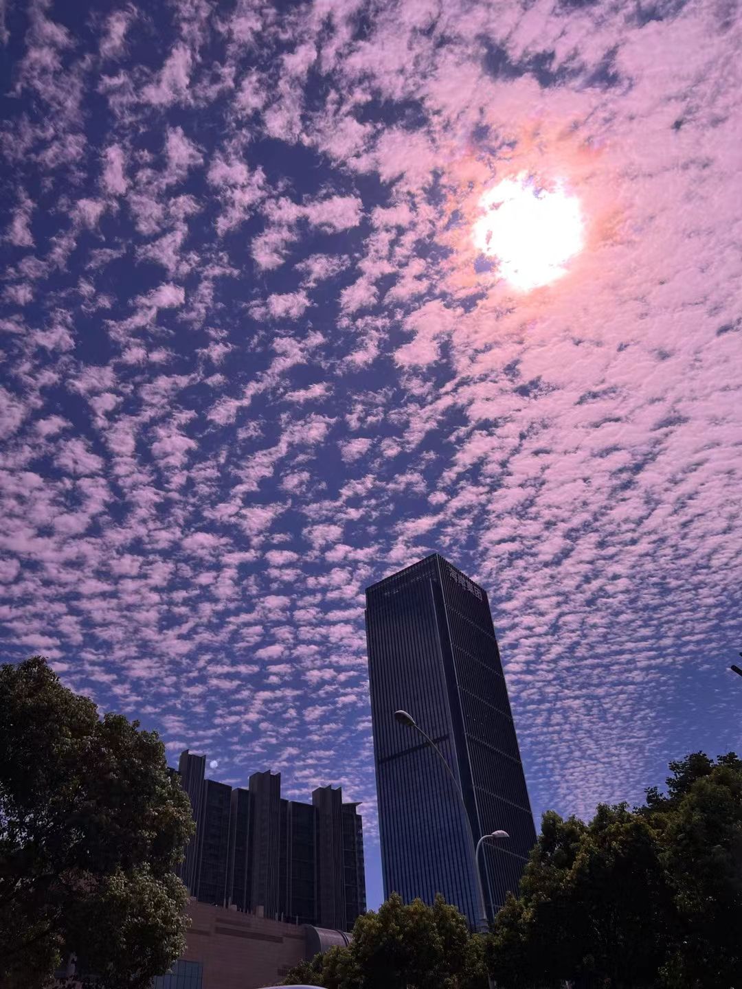 找搭子