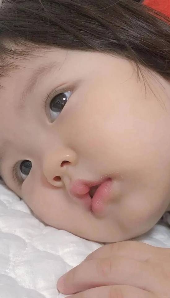 找搭子
