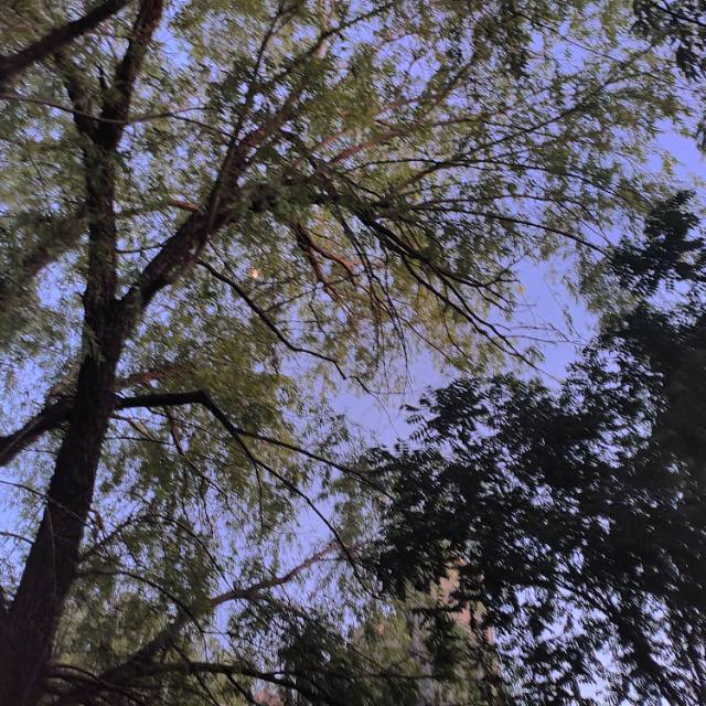 找搭子