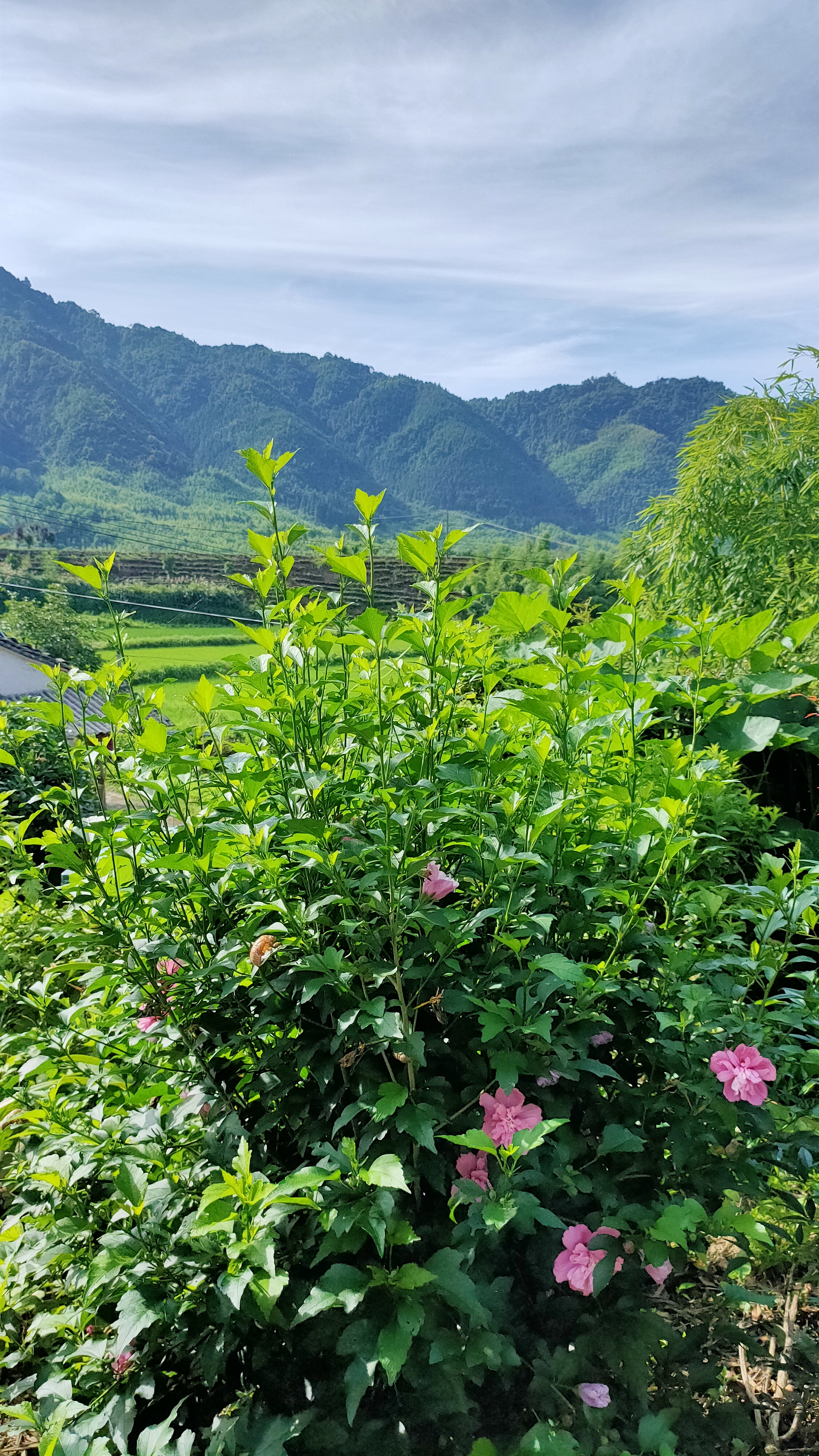 找搭子