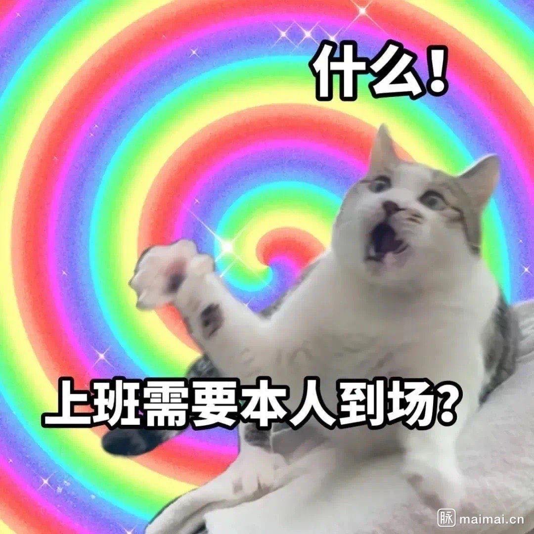 找搭子
