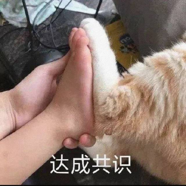 找搭子