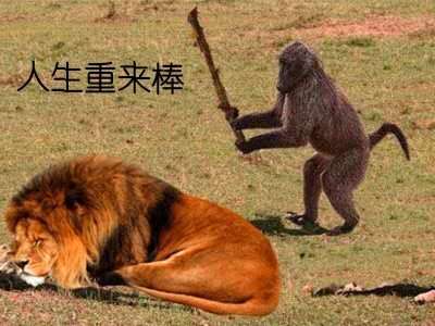 找搭子