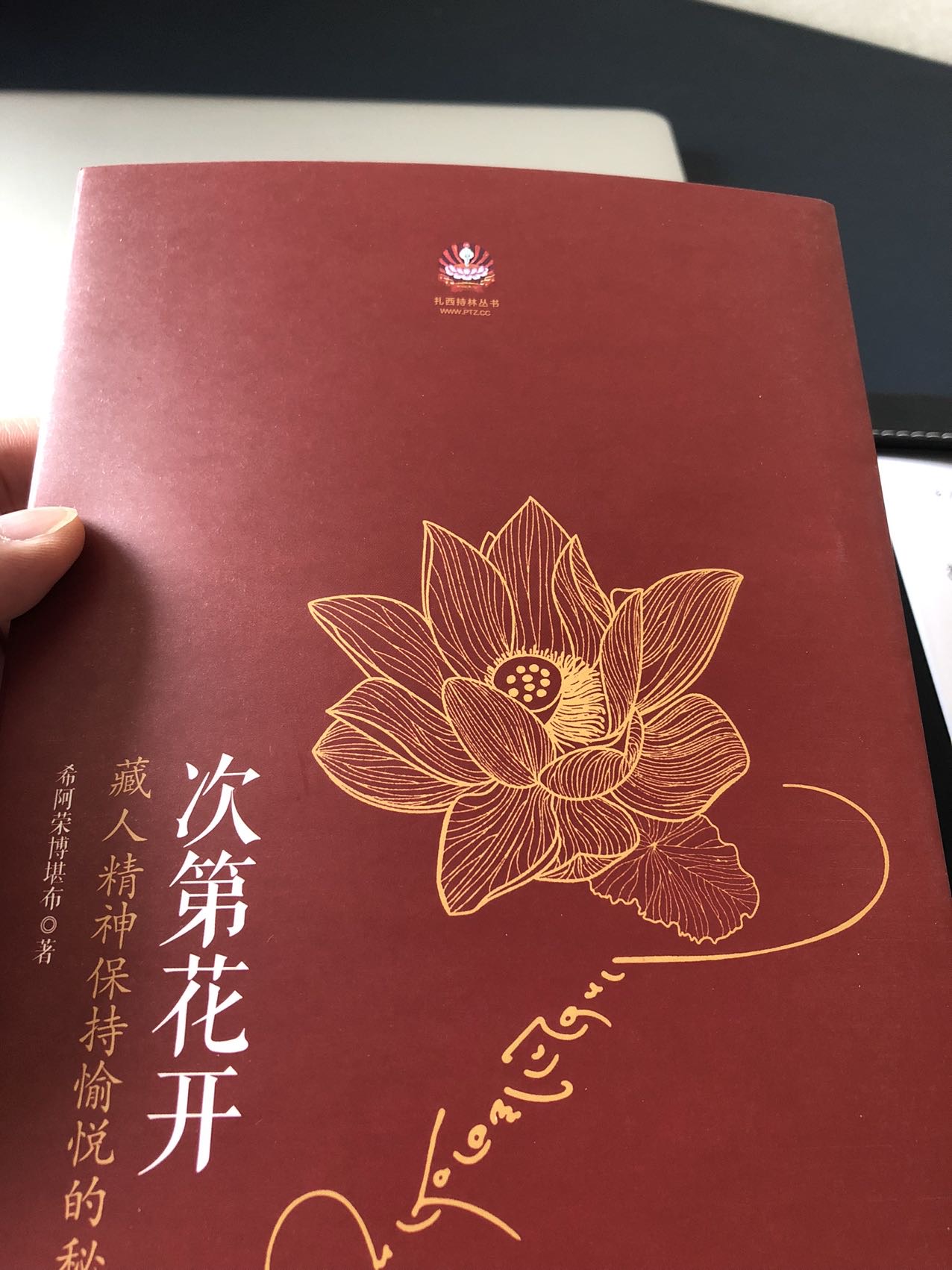 找搭子