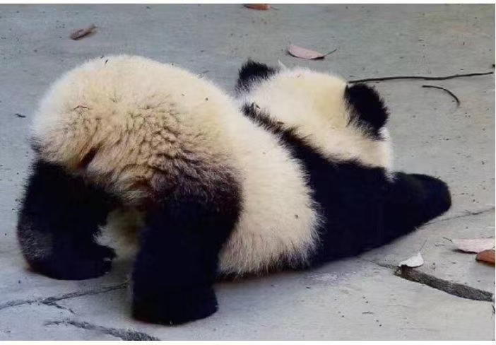 找搭子