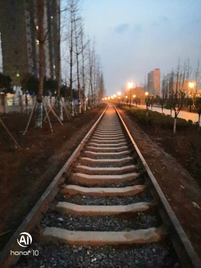 找搭子