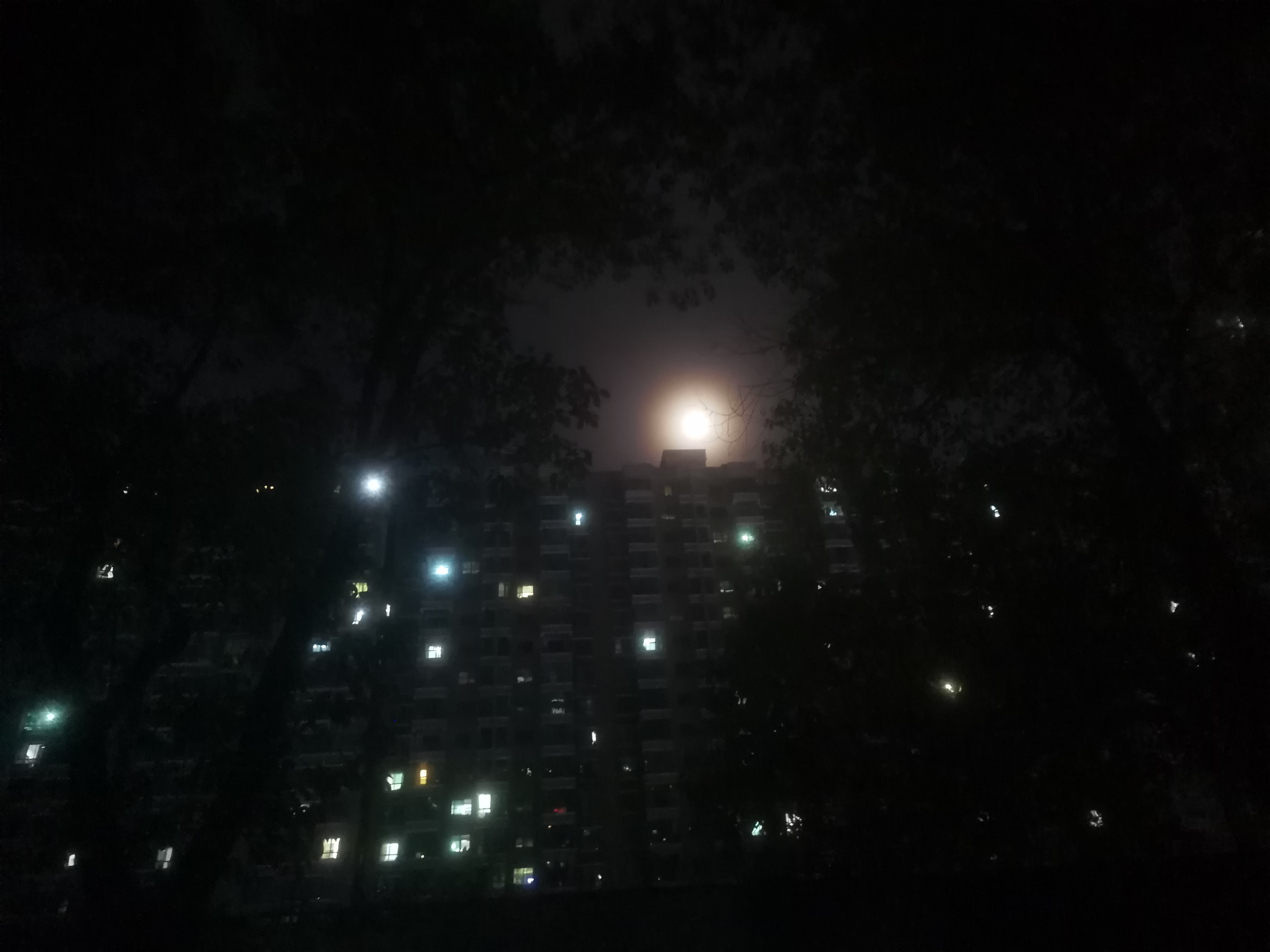 找搭子