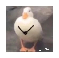 找搭子