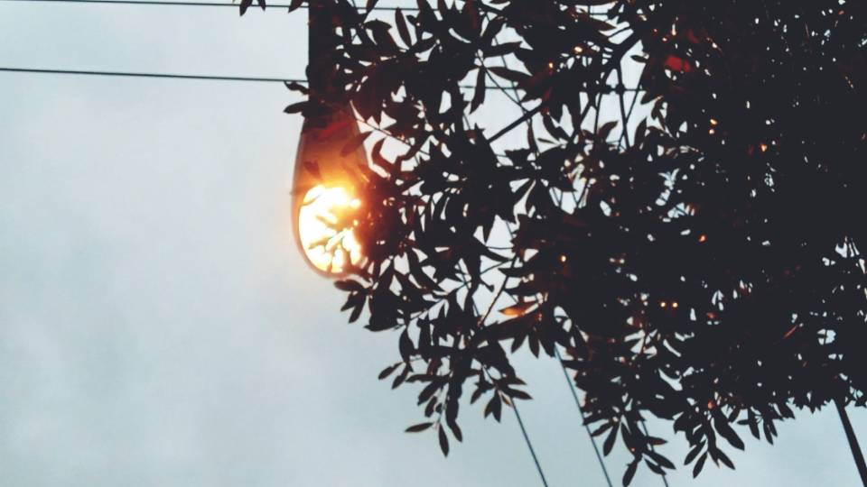 找搭子