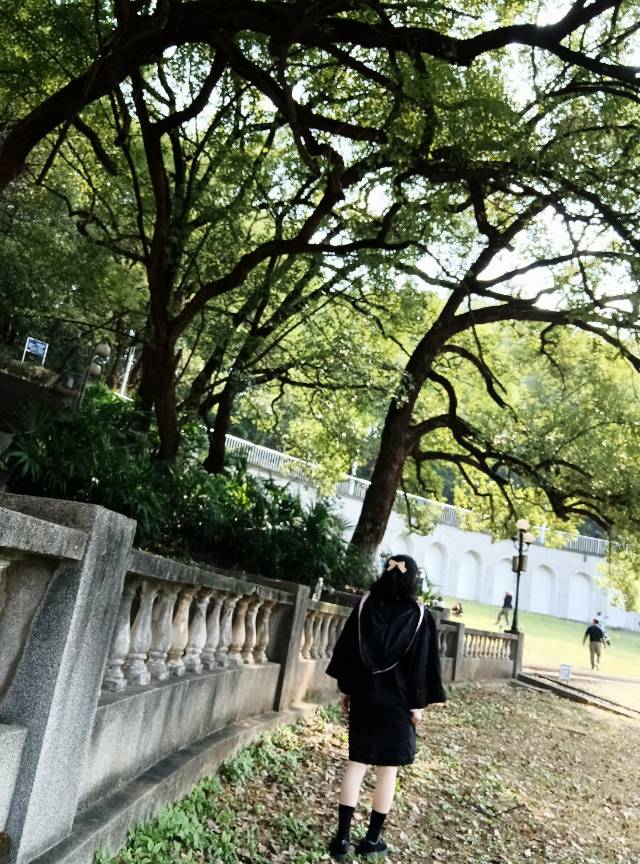 找搭子