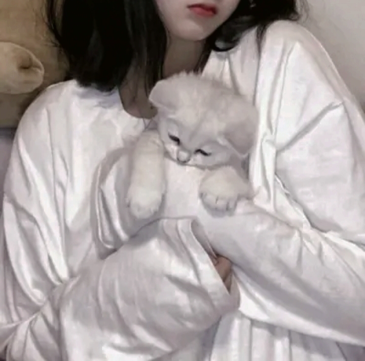 找搭子