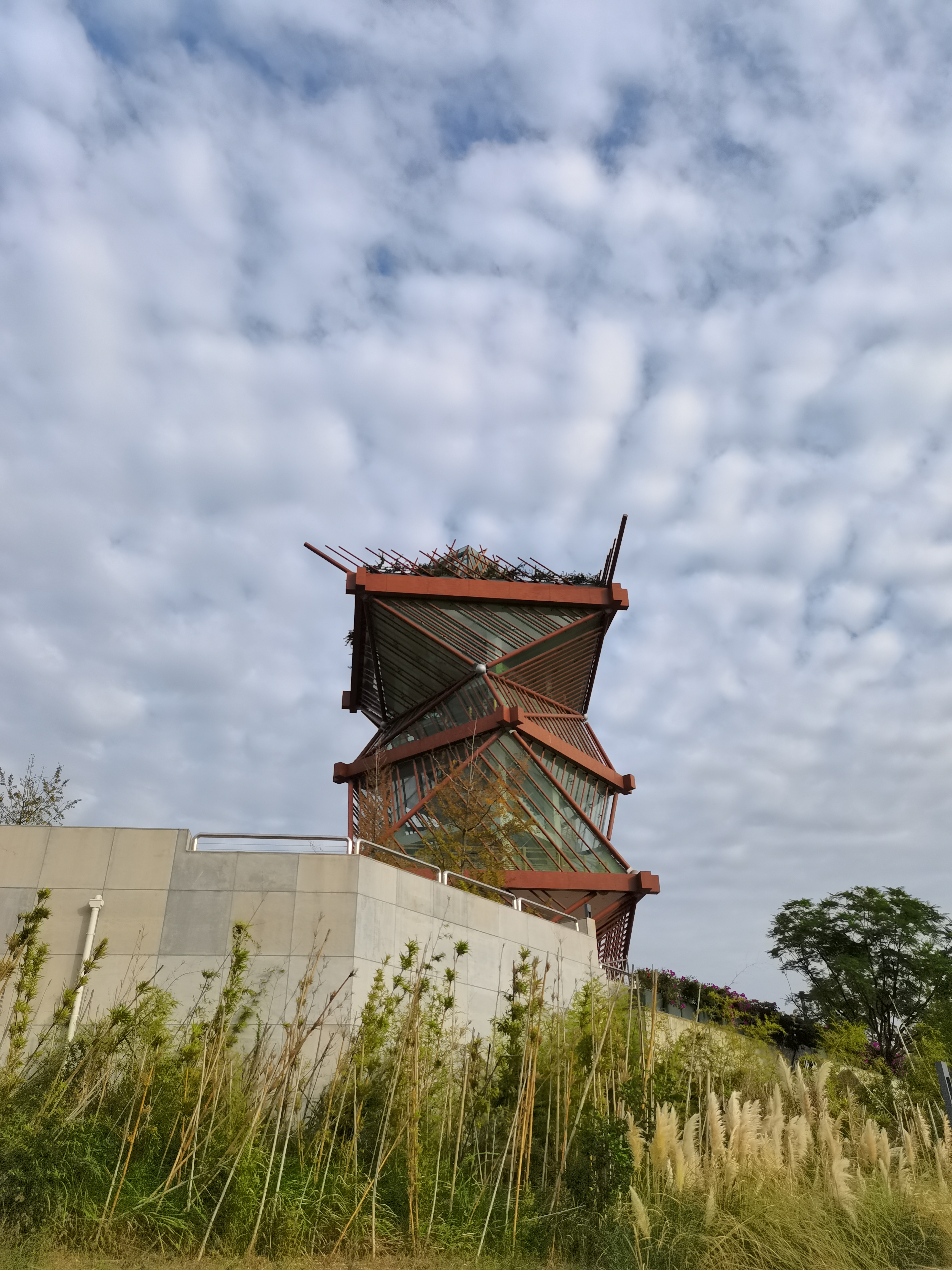 找搭子