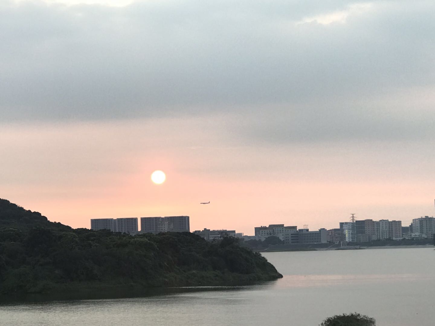 找搭子